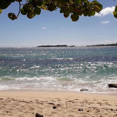 Appartamento Fleur Des Caraibes Sainte-Anne Esterno foto