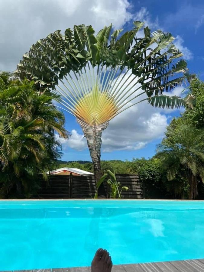 Appartamento Fleur Des Caraibes Sainte-Anne Esterno foto